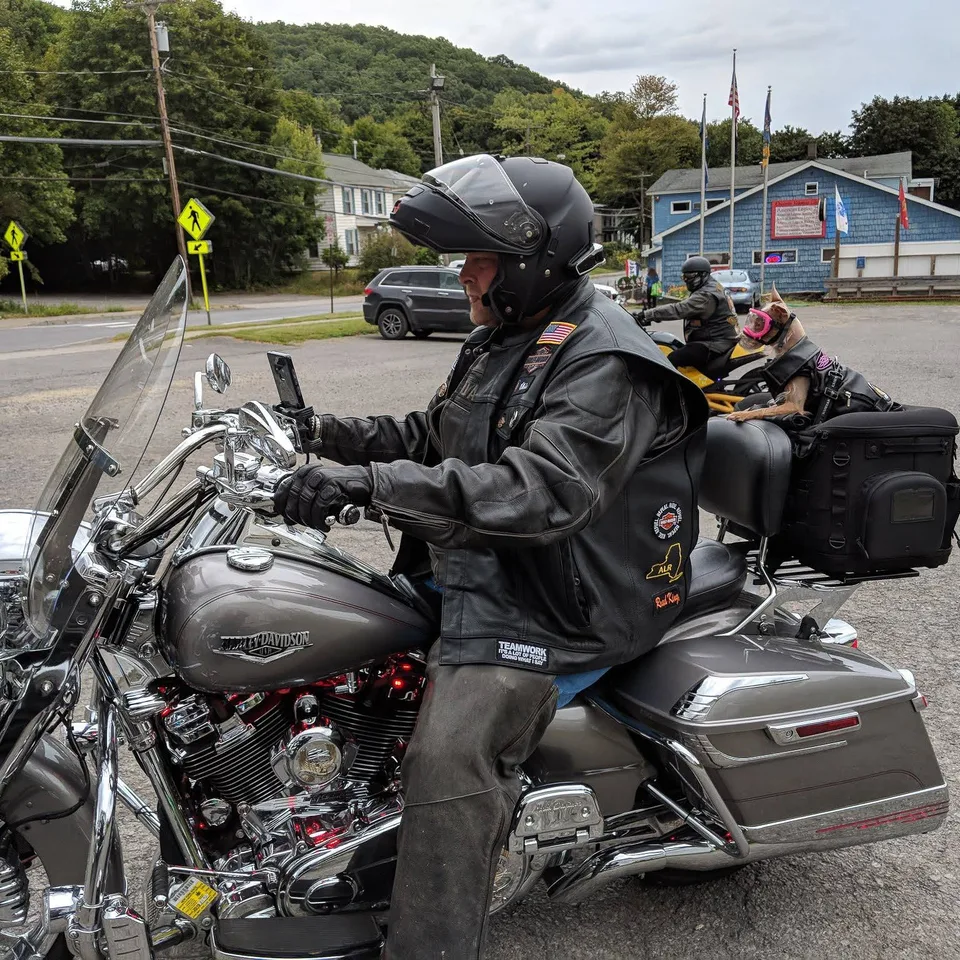 A rider in leathers sitting on a grey Road King in a parking lot, with Pixel in her goggles sitting up in her carrier on the bike behind him